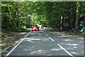Old Bisley Road, Frimley in GU16 7NJ