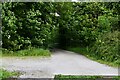 Chippenham: Track into Gifford Wood in CB7 5QB