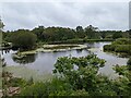 Porters Lake at Pensthorpe Natural Park in NR21 8LW