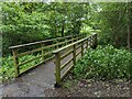 Footbridge at Pensthorpe Natural Park in NR21 8LW