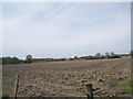 Ploughed field at Minsted Farm in GU29 0JN