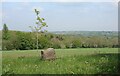 Cherwell Valley from Middle Aston Lane in OX25 5PX