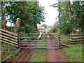 Llwybr ceffyl Beili-bedw / Beili-bedw bridleway in LD3 8PS
