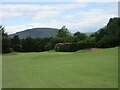 13th Hole, Alloa Golf Club, The Spinney in FK10 3LL