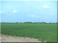 Field east of Glapwell in S44 5QA