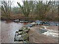 Stepping stones in River Tawe in SA9 1GD