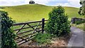Field gateway and path to The Todds on west side of road to Burneside in LA9 6NH