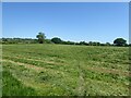 Bridleway across cut field in HD8 9WE