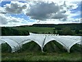 Polytunnels at Edenbank in KY15 4SR