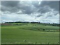 Farmland at Dunthill in AB30 1XN