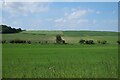 Crop trials area north of Grange Road in CB10 1TA