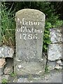 Boundary stone, Trelogan in CH8 9BD