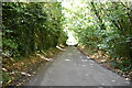 Lane through Perry Wood in ME13 9RP