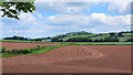 Potato fields below Ridge Hill in HR2 8BT