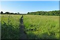 Footpath to Long Hanborough in Freeland and Hanborough Ward