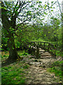 Footbridge, River Arun in RH14 0AZ