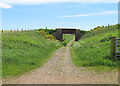 Bridge near Honeyneuk in AB42 4NL