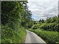 Lane at Llanfihangel Rhydithon in LD1 5TH