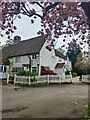 The Old Vine, Cousley Wood, Wadhurst, in TN5 6EU