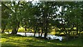 Pond opposite Hill House Farm, Berkswell in CV7 7BH