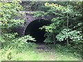 South tunnel southern portal, Glen Farg in PH2 9PU