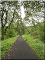 Cycle track through woodland in SA12 9SL