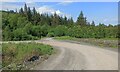Forest tracks near Dunoon in PA23 7LN