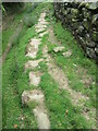 Stone trod near Thorgill in YO18 8RE