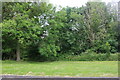 Woodland by Elm Road, Folksworth in Stilton, Folksworth & Washingley Ward
