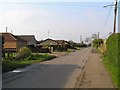 Campsey Rd. Southery looking North in PE38 0NZ