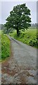 Lane towards Ty Boeth, Dolanog in SY22 6JN