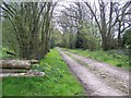 Farm track to Doles Farm in SP11 0EZ