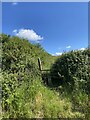Stile and path towards Higher Campscott in EX34 8LS