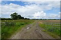 Farm track opposite Common Bottom Wood in YO19 6ER