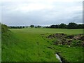 Field near Brickyard Farm in CW12 2JD