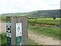 Denbies - Surrey Hills Waymarkers in RH4 1LX