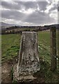 Triangulation pillar, Blackfolds, Morayshire in AB38 9QF