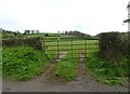 Field entrance, Pant-y-fuon in CH7 5QR