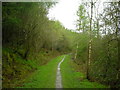 Lower Forest near Lampeter in SA48 8AW