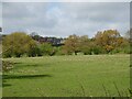 Grazing and woodland off Drury New Road in CH7 3EG