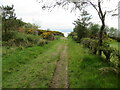 Track across Rothesay Golf Course on Common Hill in PA20 9EP