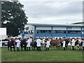 Cattle judging, Royal Highland Show in EH28 8LT