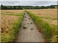 Footpath from Heaverham in TN15 6NE