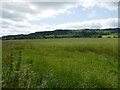 Grass field and Bredon Hill in WR10 3DH
