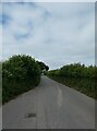 Looking south-west on the Lane from the A49 to Grove Farm in Herefordshire