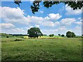 Field seen from West Ashton Churchyard in BA14 6AU