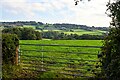 Buckland St Mary : Grassy Field in TA20 3QE