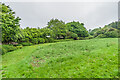 Meeching Down open space in BN9 9UR