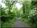 Cyclepath following route of former railway in M28 1LH