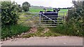 Field with cows on south side of rural road west of Torpenhow in CA7 1JF